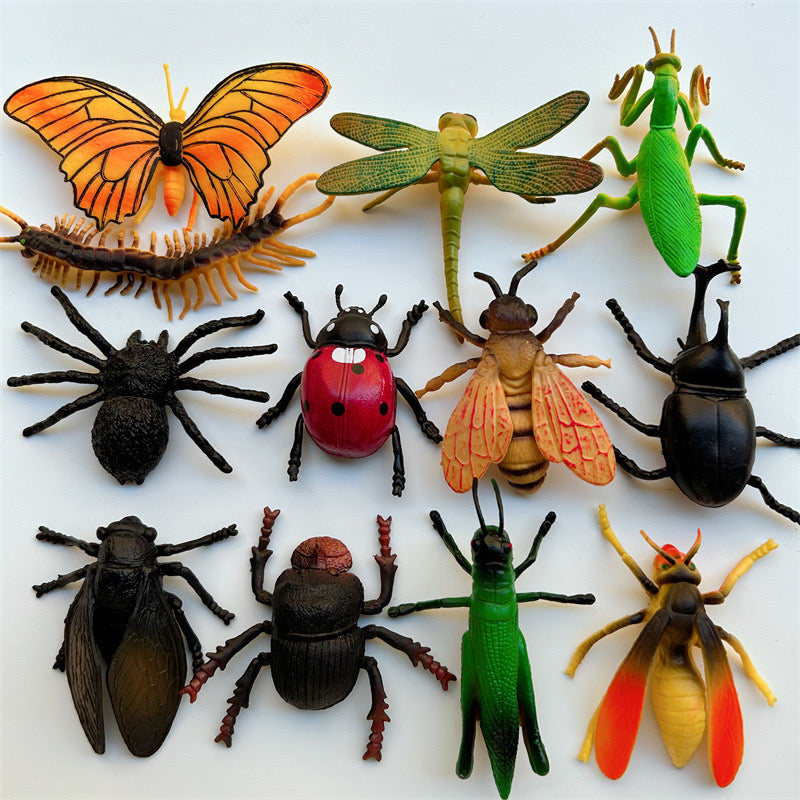 12 pcs Insects set- Montessori Educational Toys – Specialty Toys Australia