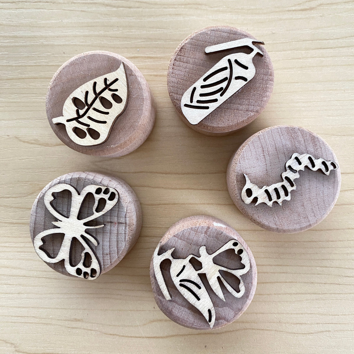 Wooden Stamps Life Cycle of A Butterfly - Best Fine Motor Toys ...