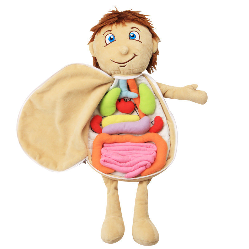 Anatomy doll best sale with removable organs